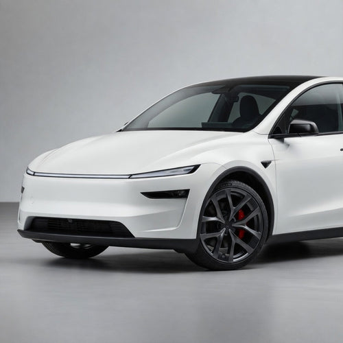 21'' Arachnid 2.0 Rim Protectors for Tesla Model Y Juniper Performance | Tesery